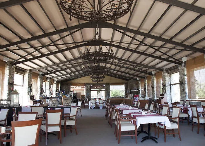 酒店 弗洛达特卡冲浪及海滩酒店 达特恰