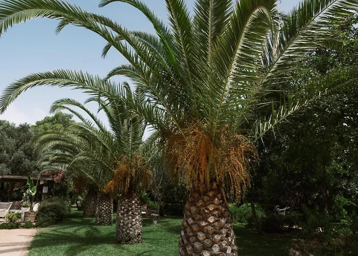 弗洛达特卡冲浪及海滩酒店