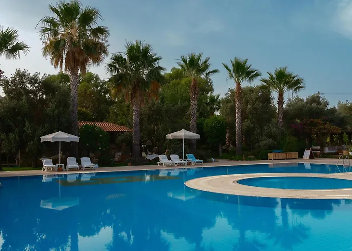 Flow Surf & 3* Datca