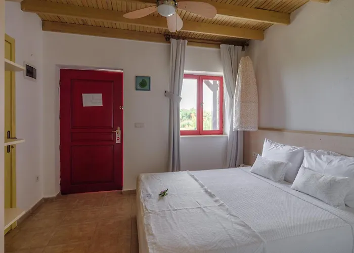 Flow Surf & Ξενοδοχείο